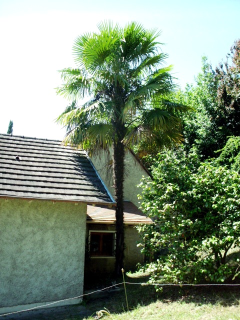 HPIM0836.JPG