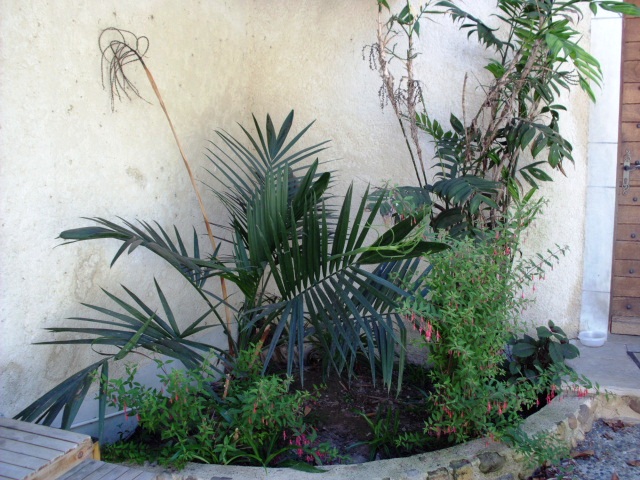 HPIM0839.JPG