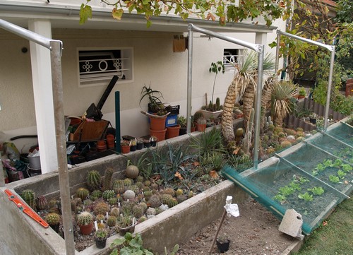 Abri Balcon 08 bis.jpg