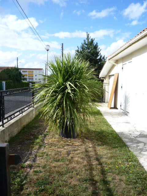 Pot N°1