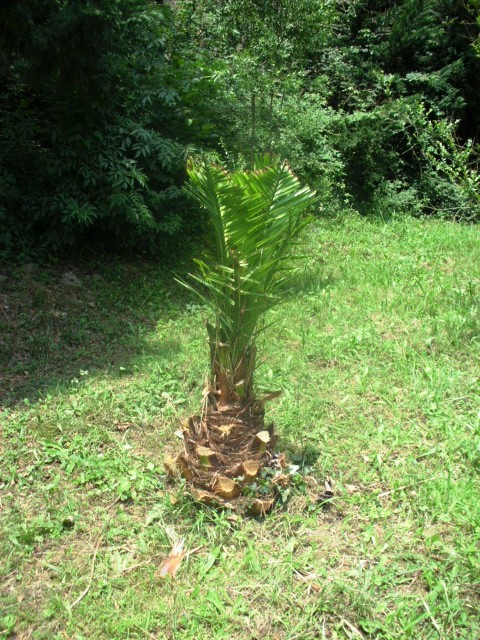 HPIM0875.JPG