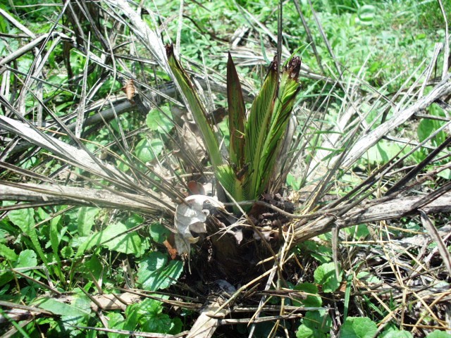 HPIM0873.JPG