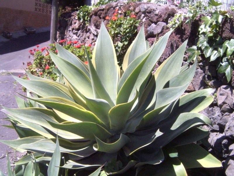 2009 06 01 047.JPG