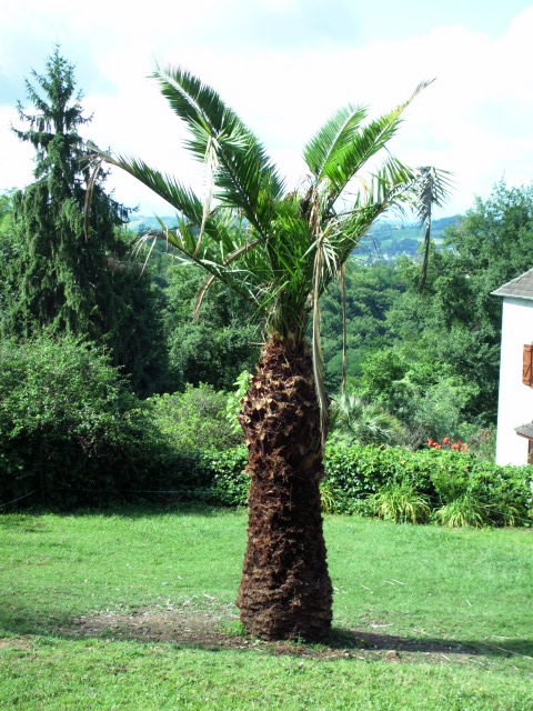 HPIM0888.JPG