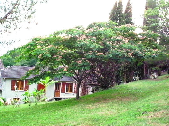 HPIM0882.JPG