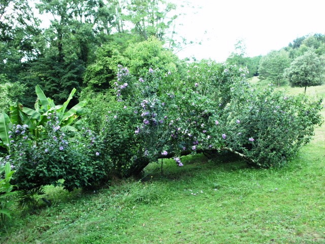 HPIM0890.JPG