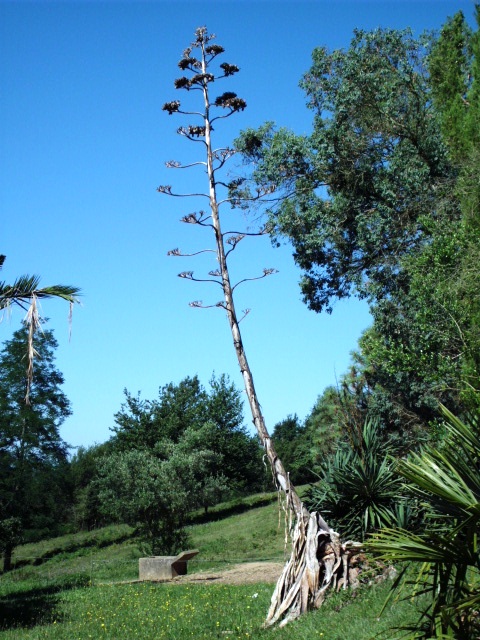HPIM0919.JPG