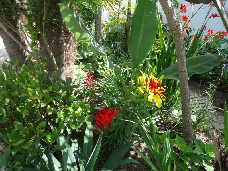 DSC00806.jpg