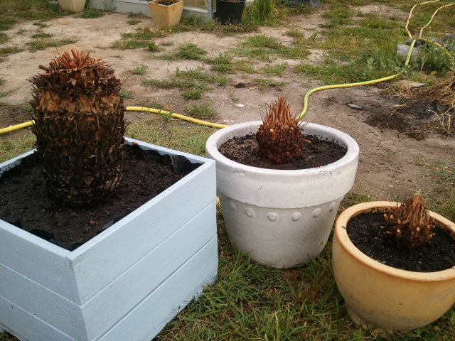 2012-07-20 08.41.48.jpg