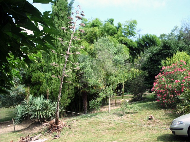 HPIM0923.JPG