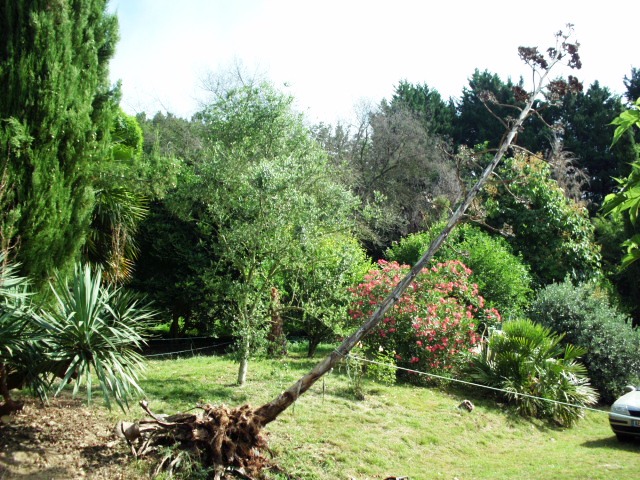 HPIM0924.JPG