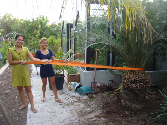 caryota 019.jpg
