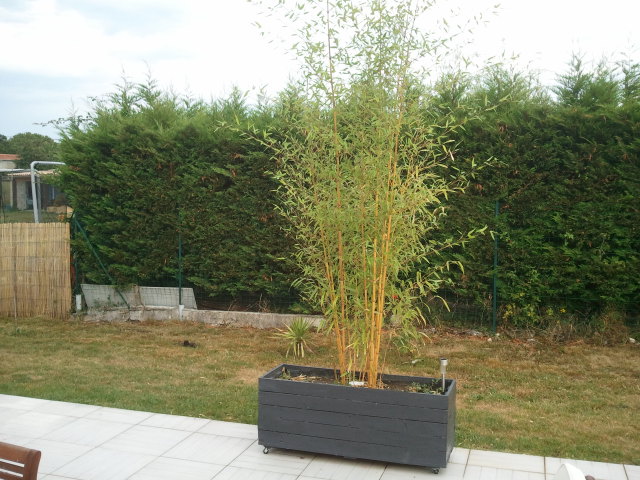 2012-07-26 19.26.42.jpg