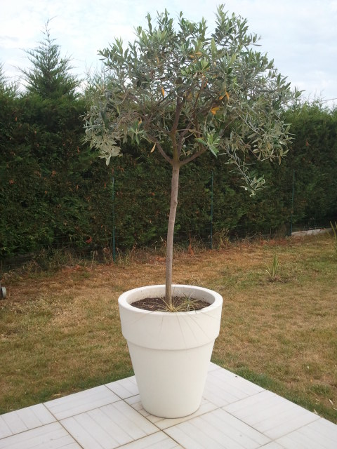 2012-07-26 19.26.56.jpg