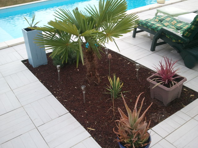 2012-07-26 19.27.13.jpg