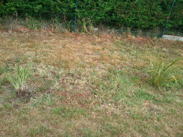 2012-07-26 19.27.28.jpg