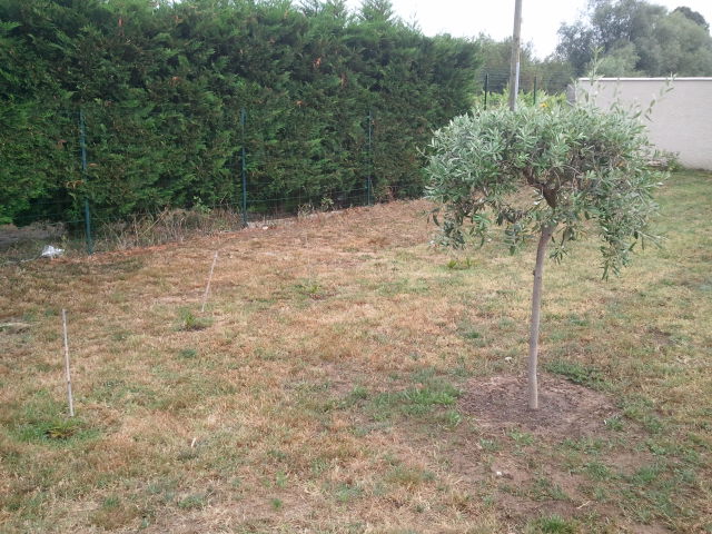 2012-07-26 19.27.50.jpg