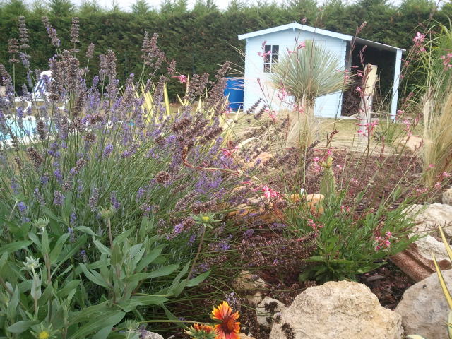 2012-07-26 19.28.54.jpg