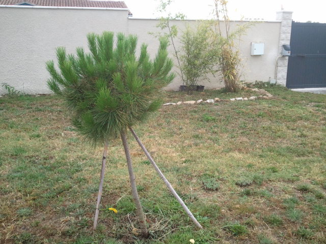2012-07-26 19.29.36.jpg