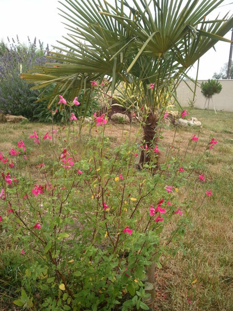 2012-07-26 19.30.22.jpg