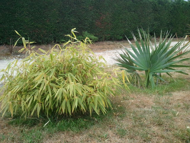 2012-07-26 19.30.36.jpg