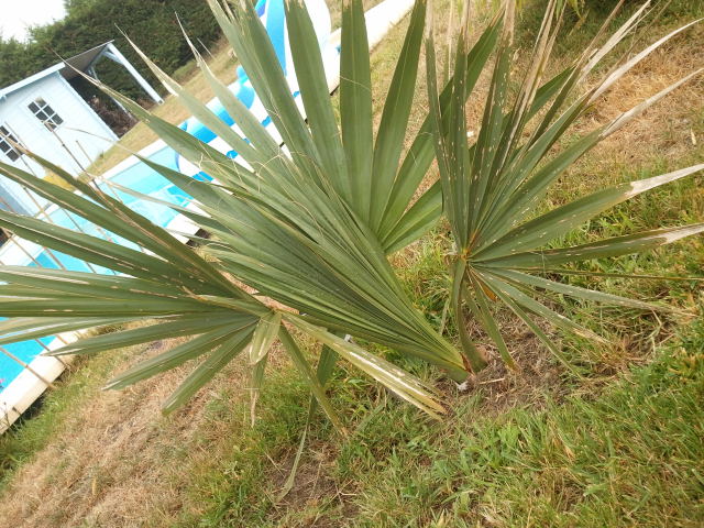2012-07-26 19.31.04.jpg
