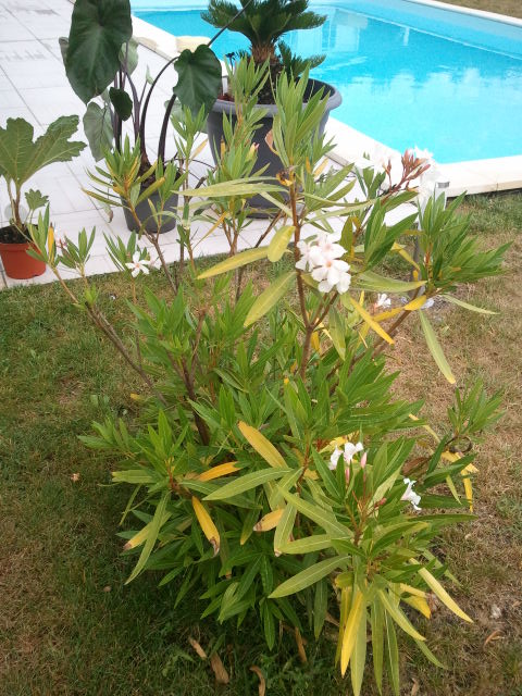 2012-07-26 19.31.33.jpg