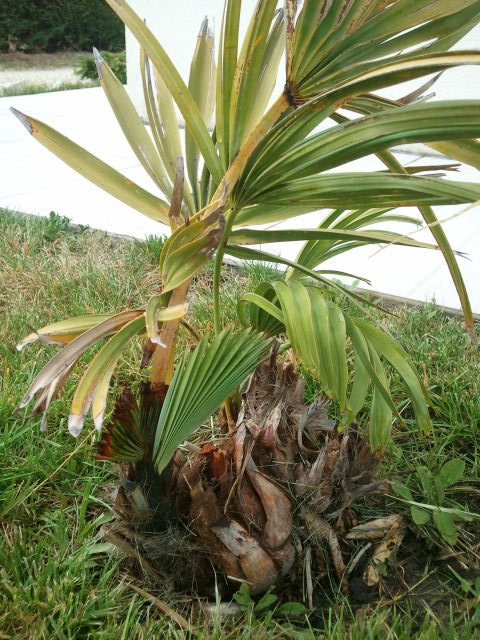 2012-07-26 19.31.55.jpg
