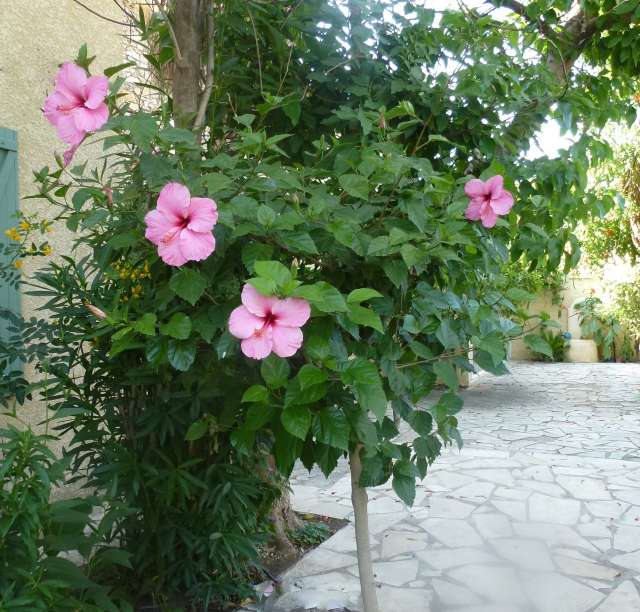 P1050332_PhotoRedukto.jpg
