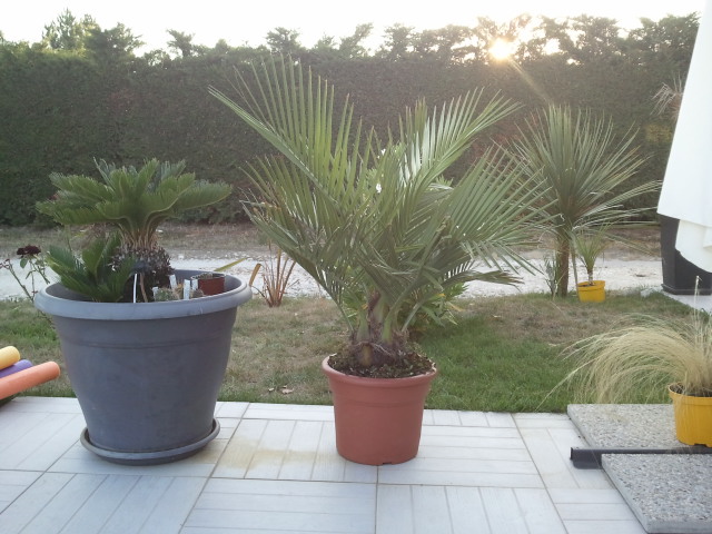 2012-07-31 20.40.41.jpg