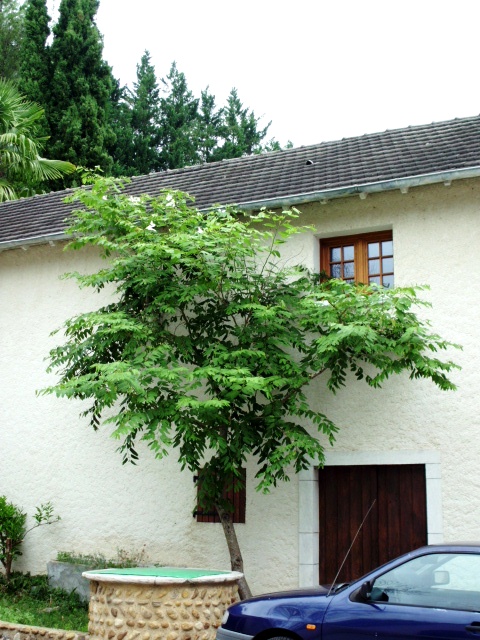 HPIM0932.JPG