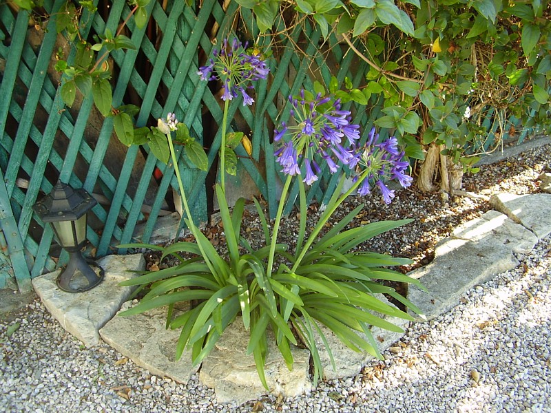 014.23 juillet 2012.JPG