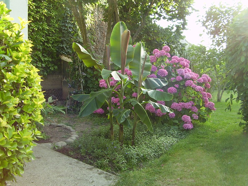 018.22 juillet 2012.JPG