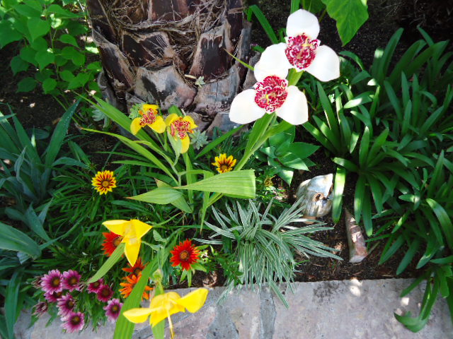DSC00859.JPG