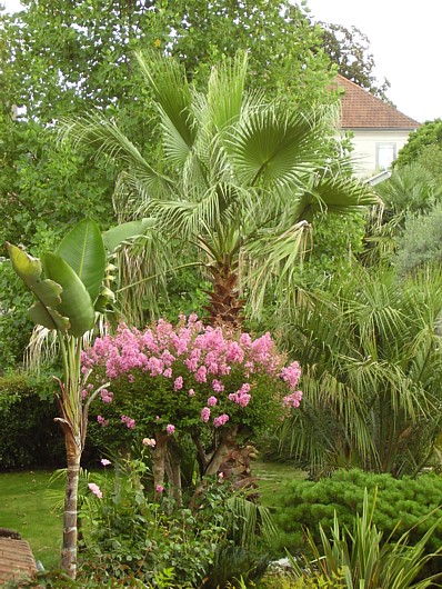 P5290001.JPG