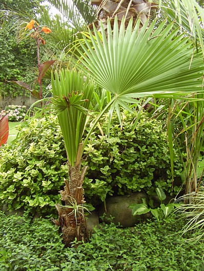 P5290008.JPG