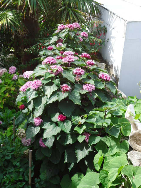 DSC00876.JPG