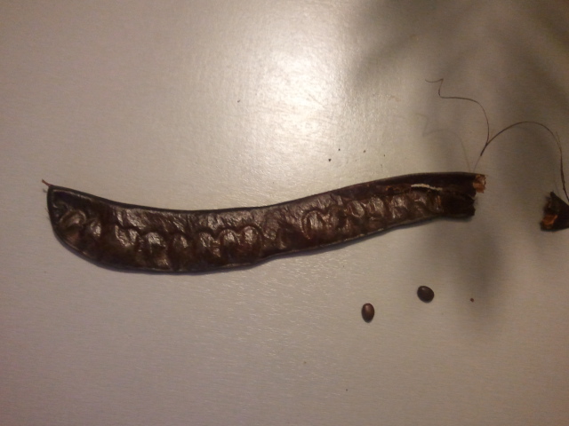 2012-08-05 21.27.45.jpg