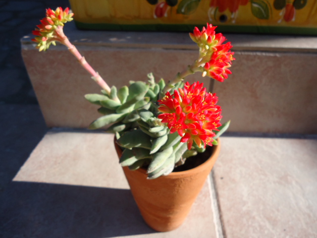 DSC00883.JPG