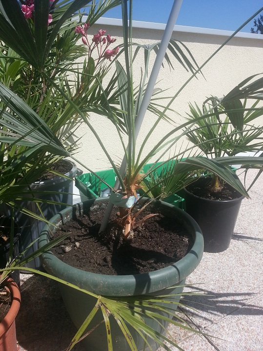 20120811_142338.jpg