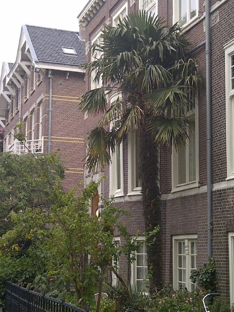 IMG-20120814-00004-11.jpg