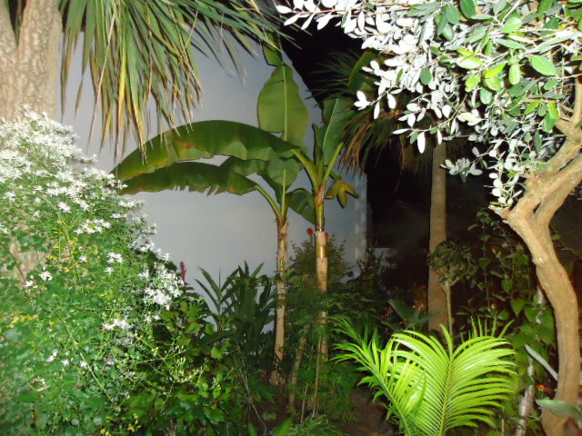 DSC00916.JPG