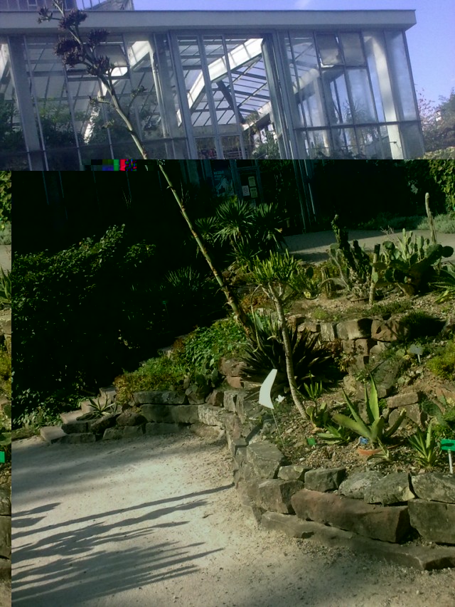 30092009810 [].jpg