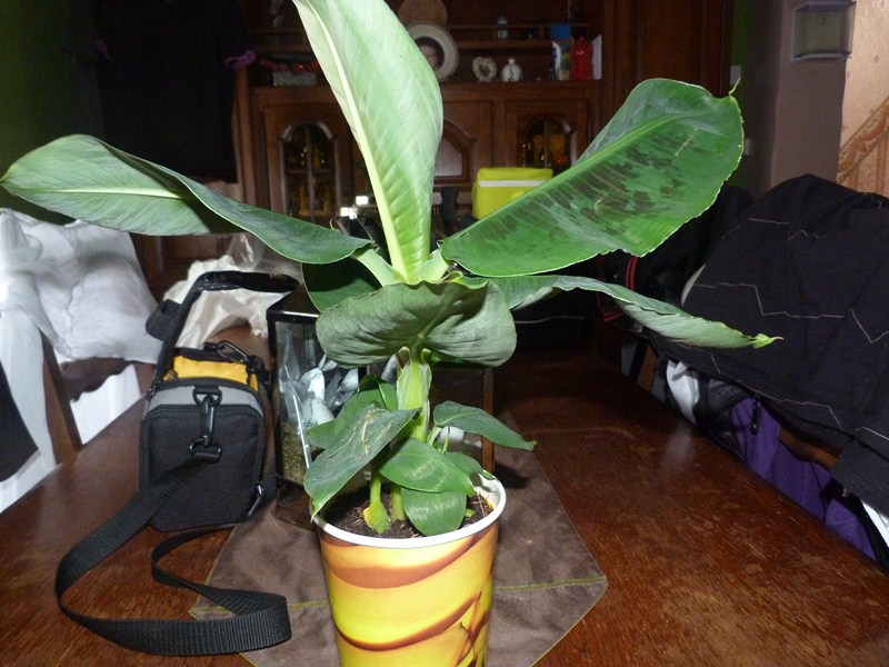 P1090607 (Copier).JPG