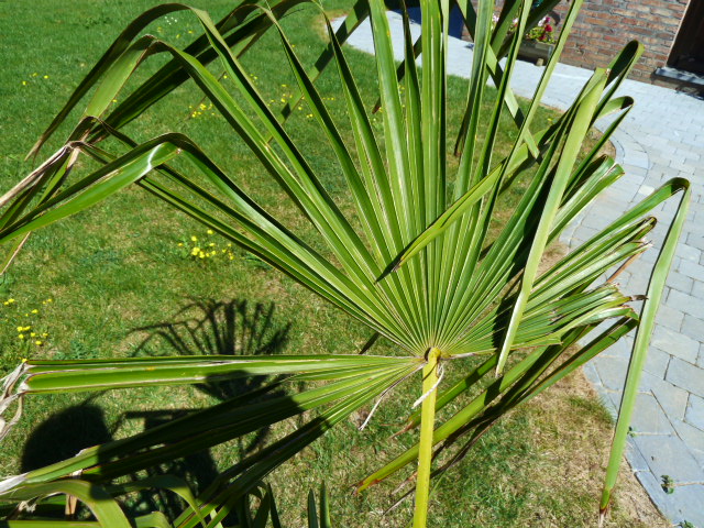 P1030575.JPG