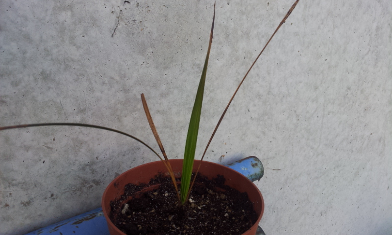 20120823_170239.jpg