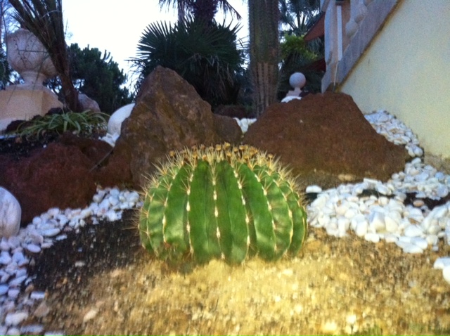 photo (12).JPG