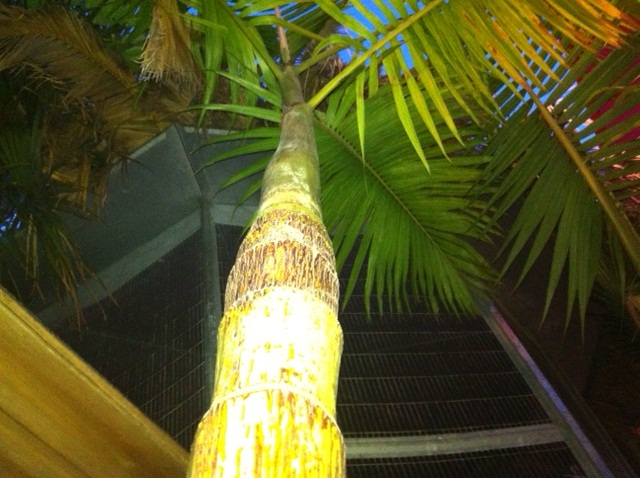 photo (13).JPG