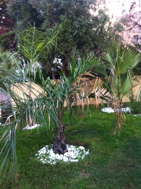 photo (15).JPG