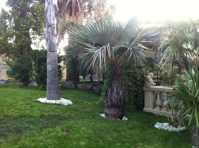 photo (19).JPG
